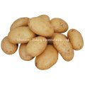 2016 New Crop Fresh Potato